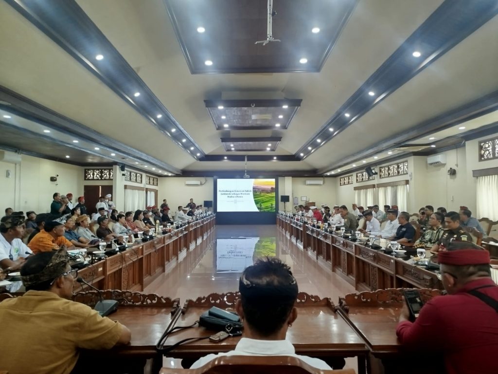 WhatsApp Image 2025-12-19 at 13.01.41